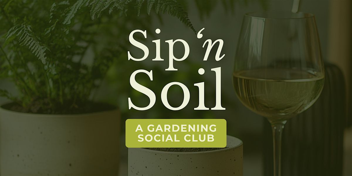 Sip 'n Soil | Houseplant Arrangement