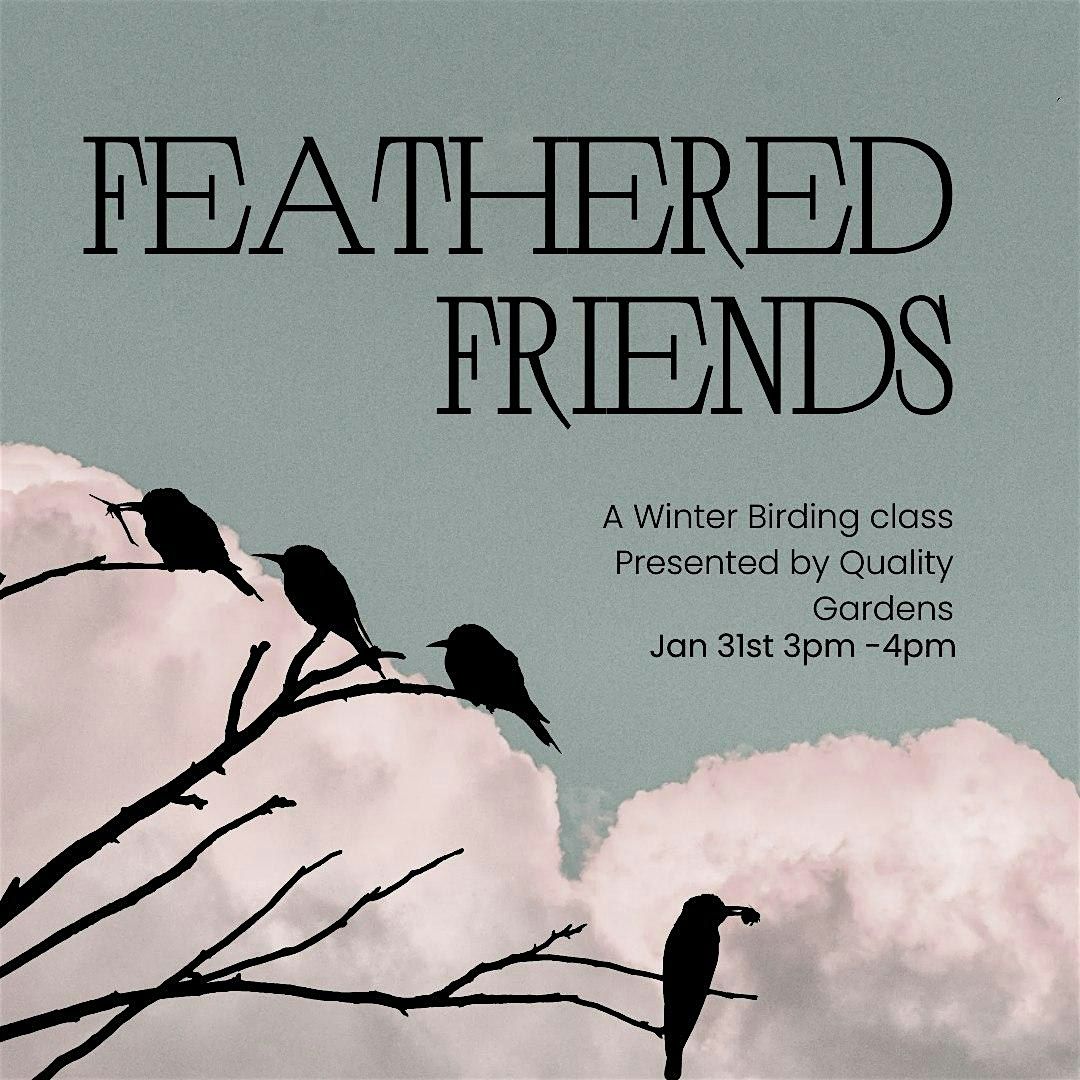 Feathered Friends: A Winter Birding Class