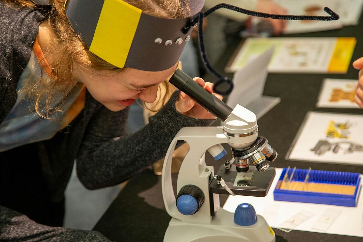 Kids and Bees Expo 2026