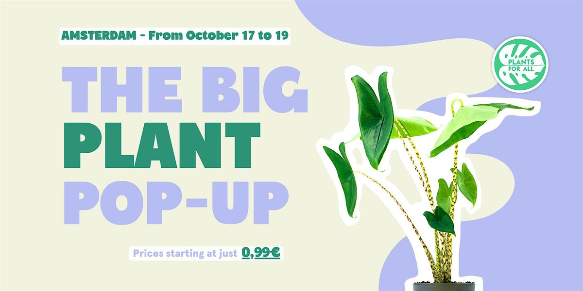 The Big Plant Pop-up - Amsterdam