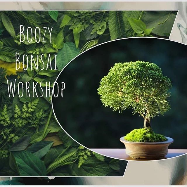 Boozy Bonsai Workshop