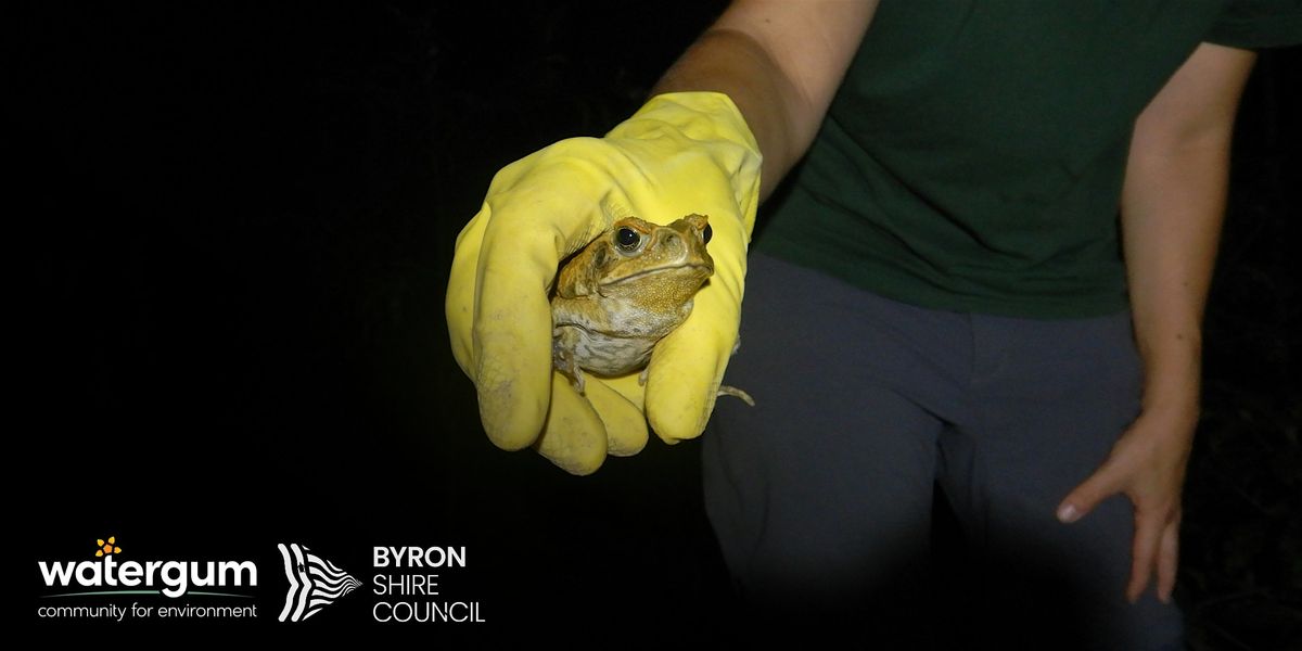 Byron Cane Toad Challenge - Community toad bust