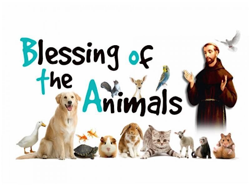 Blessing of the Animals!