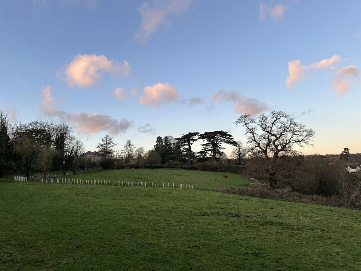 Friends of Lakeside - Launch Gathering