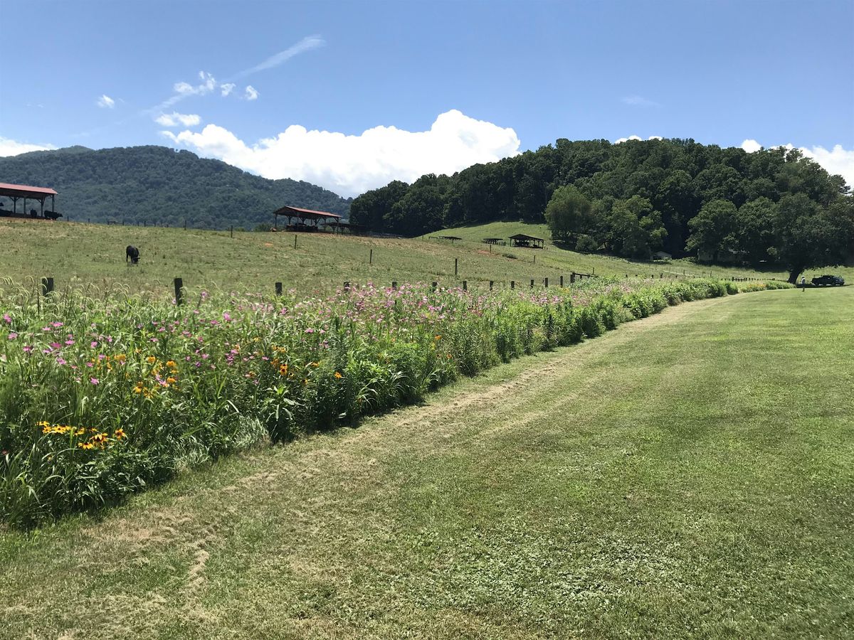 Pollinator habitat restoration and impacts on surrounding ecosystems