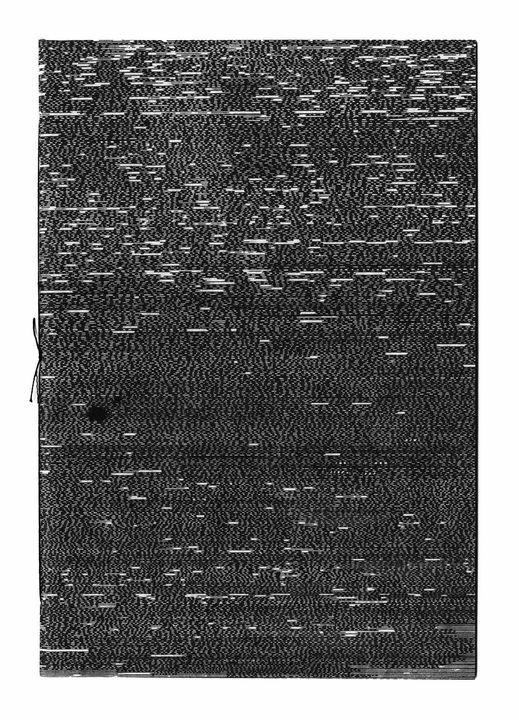 \u2018een vogel vliegt op\u2019 Hannelore Van Dijck