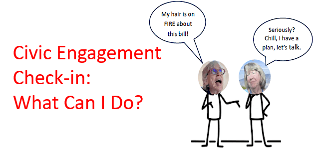 Civic Engagement Check-in: What Can I Do?