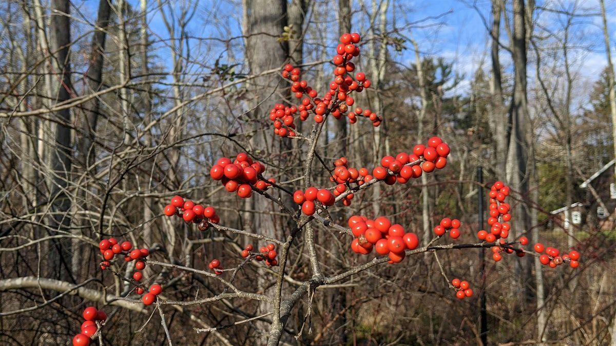 NJ Audubon: Autumn Wonder Walk