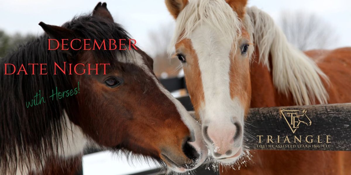 December Date Night with Horses