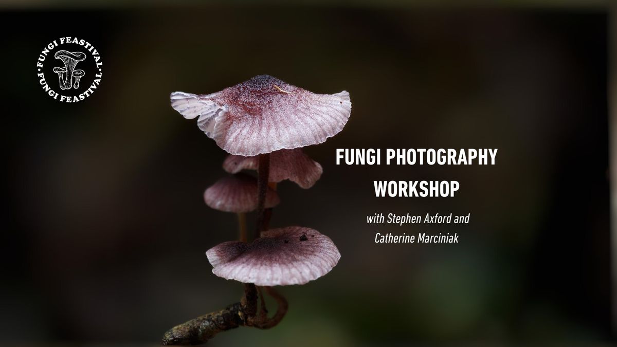 Fungi Photography Workshop with Stephen Axford and Catherine Marciniak