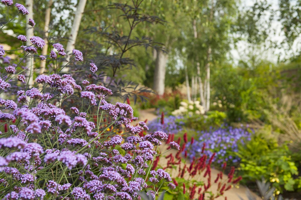 Horatio's Garden Scotland Private Tour