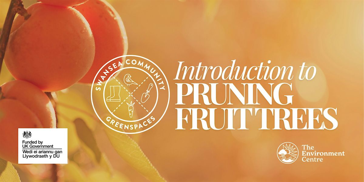 Introduction to Pruning Fruit Trees