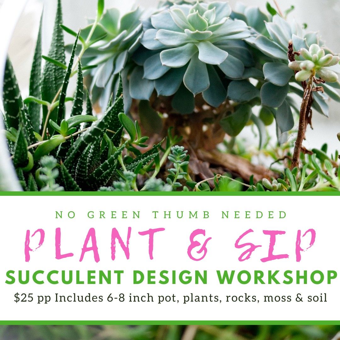 Succulent Design Class at The Melting Spot Lakeland