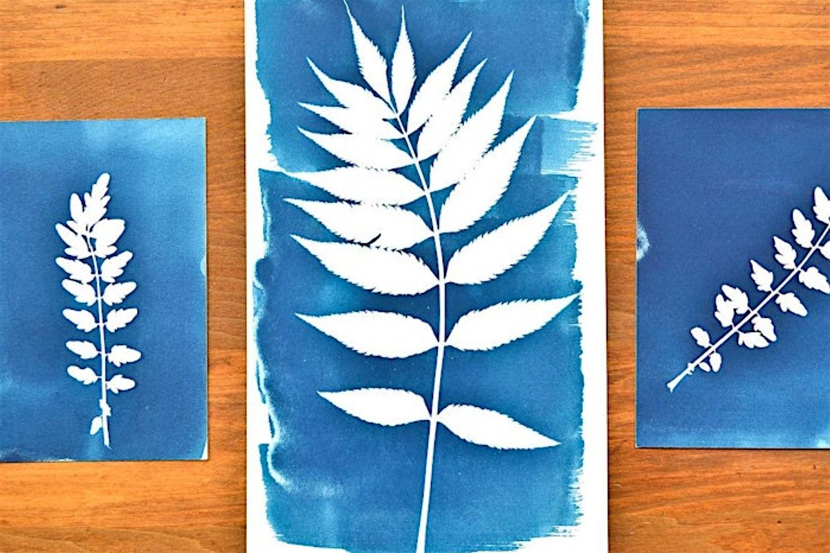 Botanical Cyanotype Printmaking