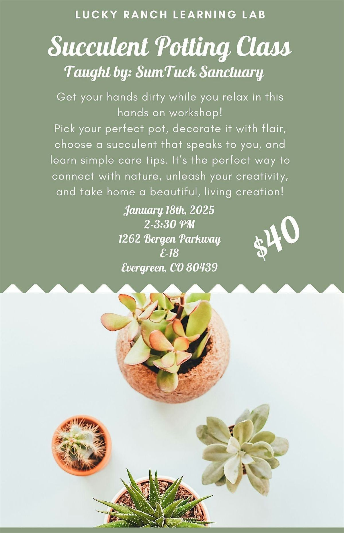 1\/18  Succulent Potting Class