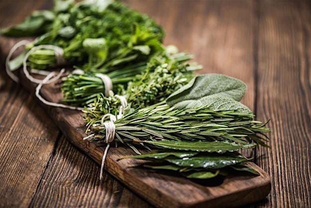 Medicinal and Culinary Herb Gardening