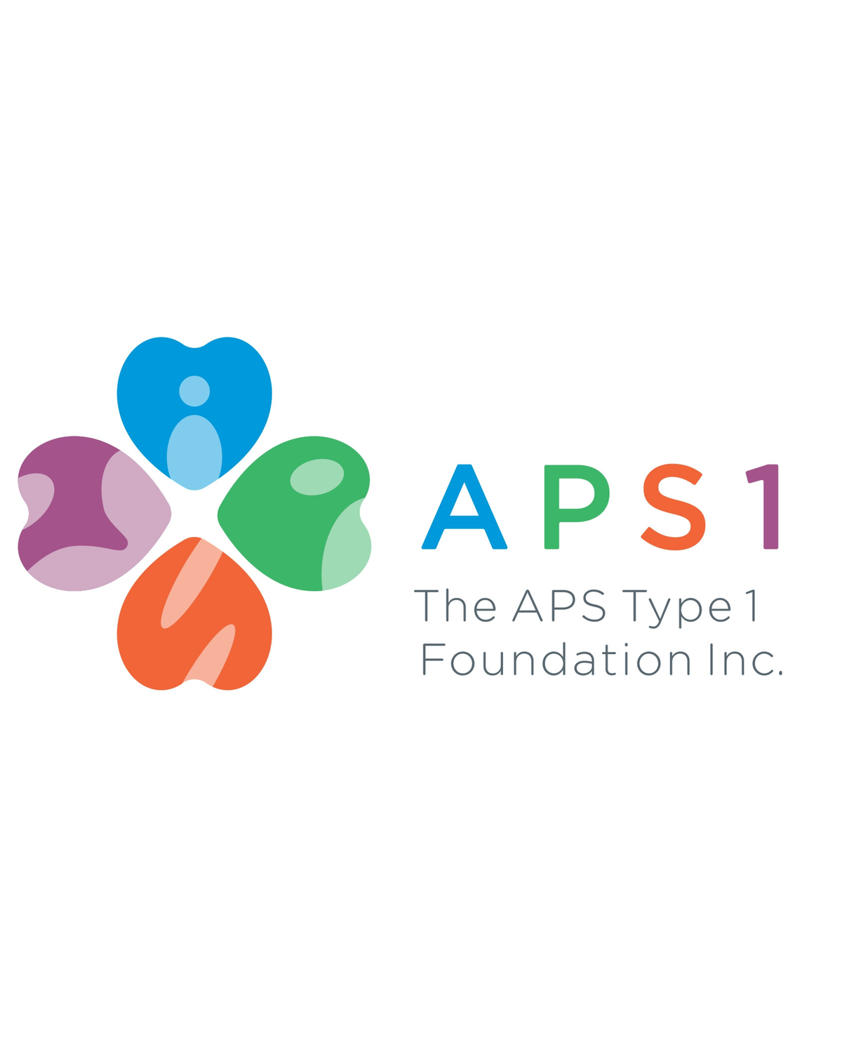 6th International Symposium on APS Type 1