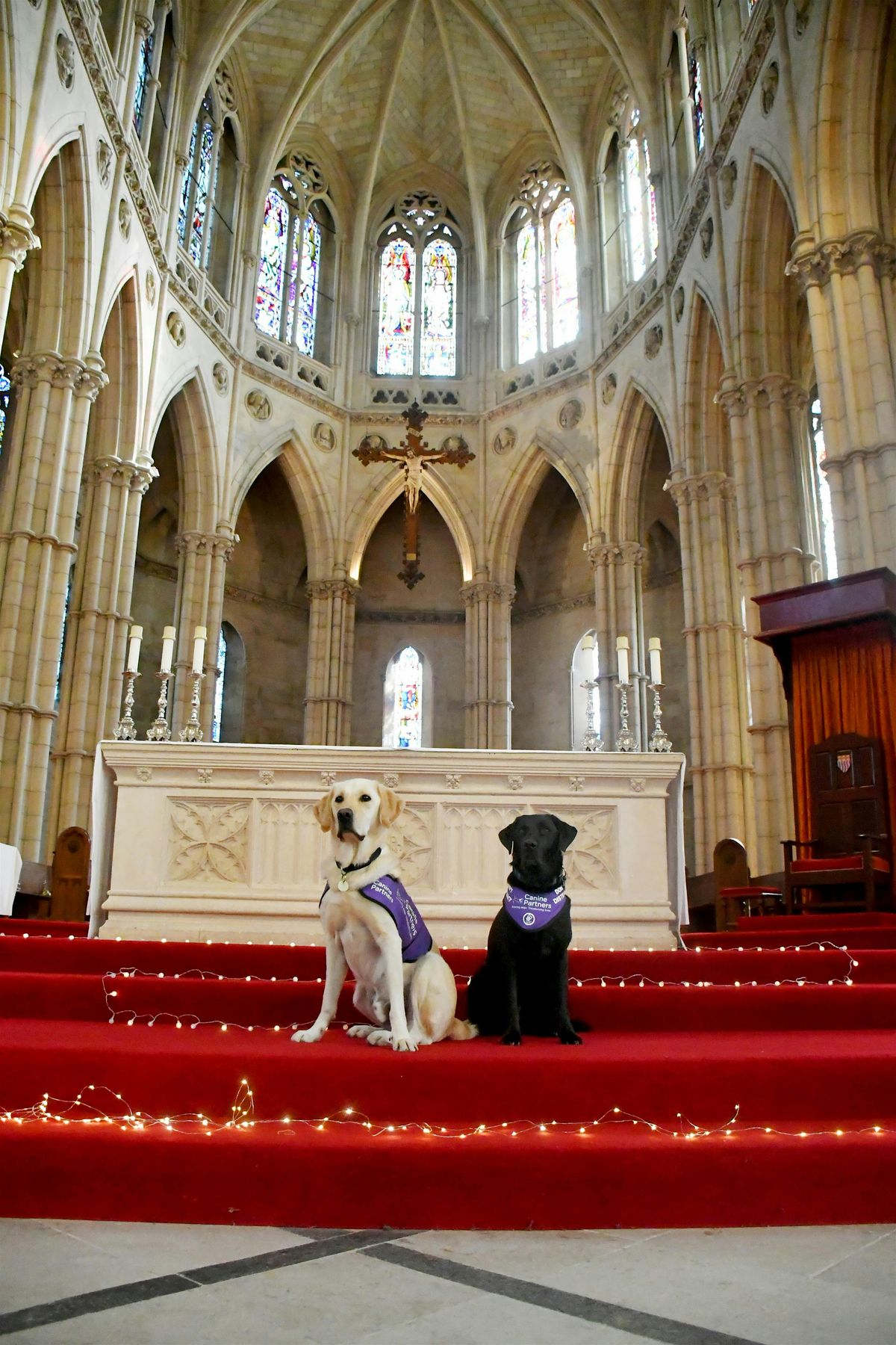 Canine Partners - London Carol Service