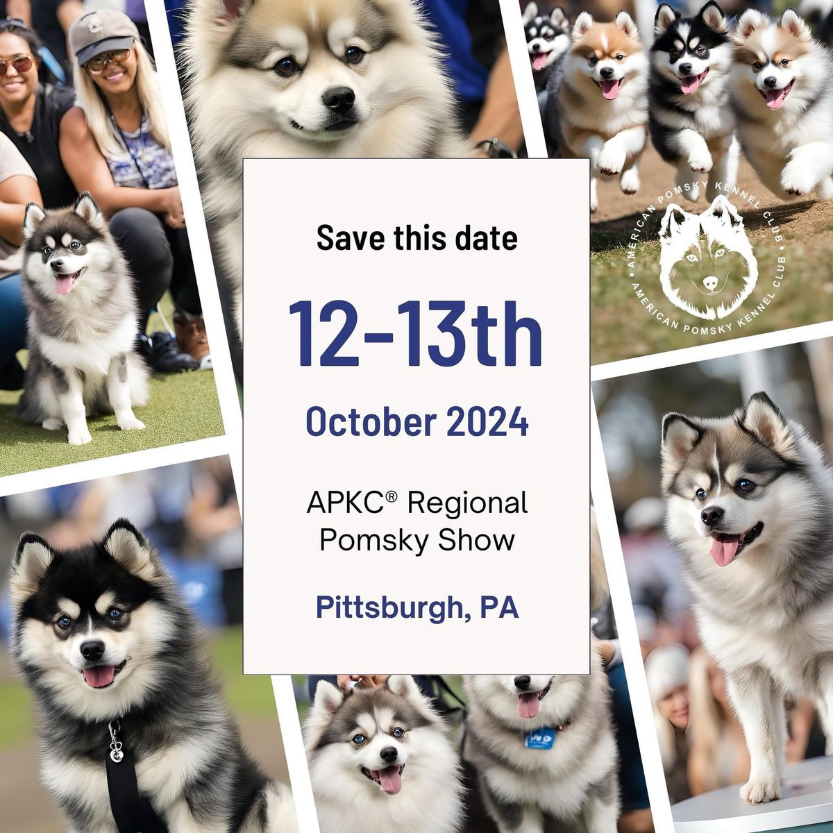 Regional Pomsky Show - Pittsburgh PA