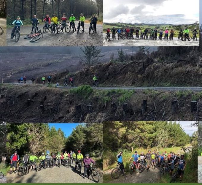 Riverhead Forestry Road Ride