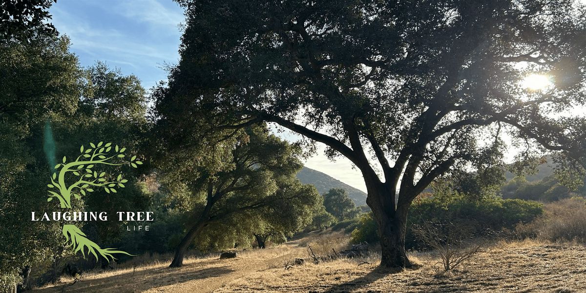 Forest Bathing at Tecolote Canyon
