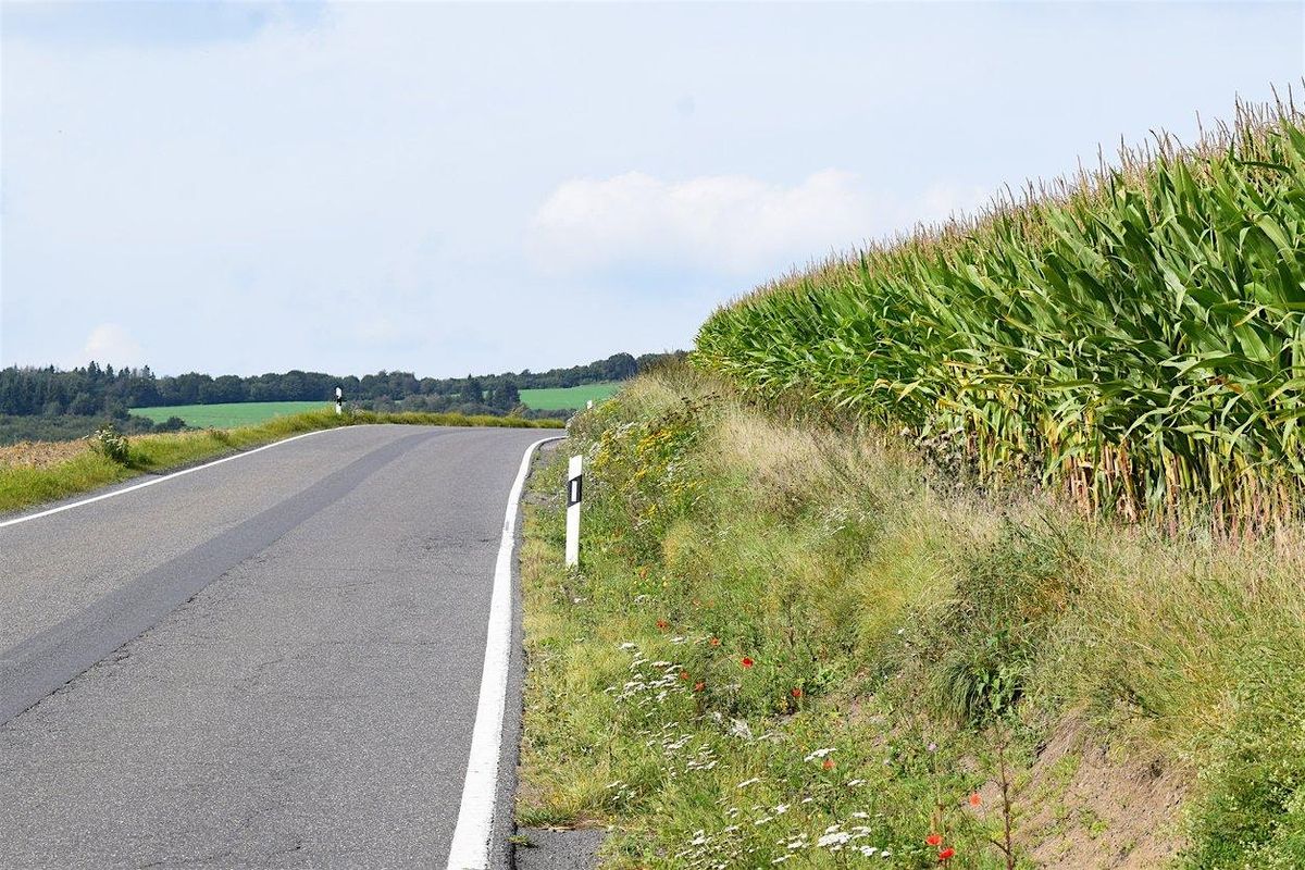 Right-of-Way Pesticide Training Class -4-22-2026