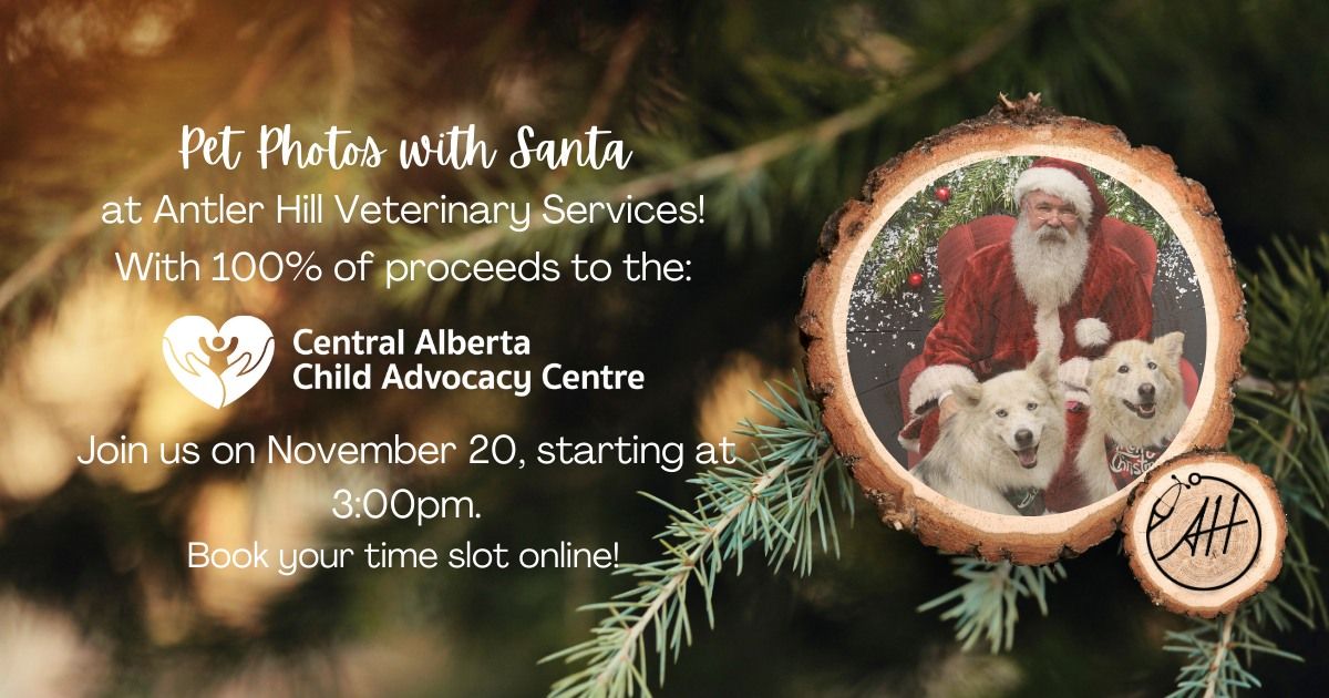 Pet Photos with Santa 2024!