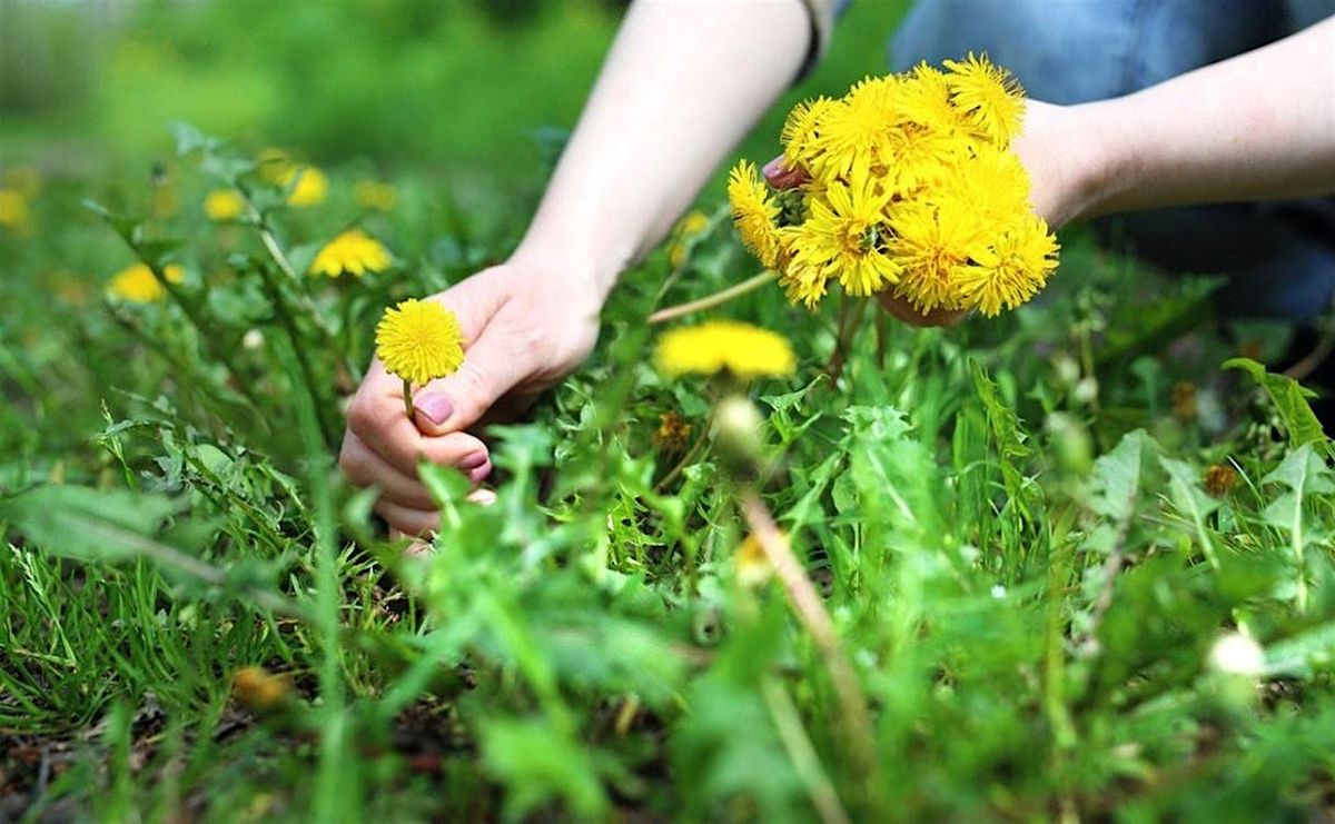 Enchanted Herb Stroll