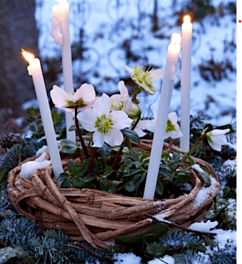 Imbolc & Candlemas Celebration