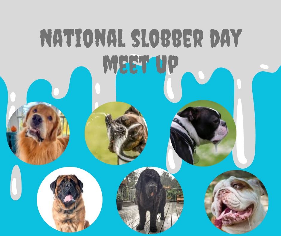 National Slobber Day!