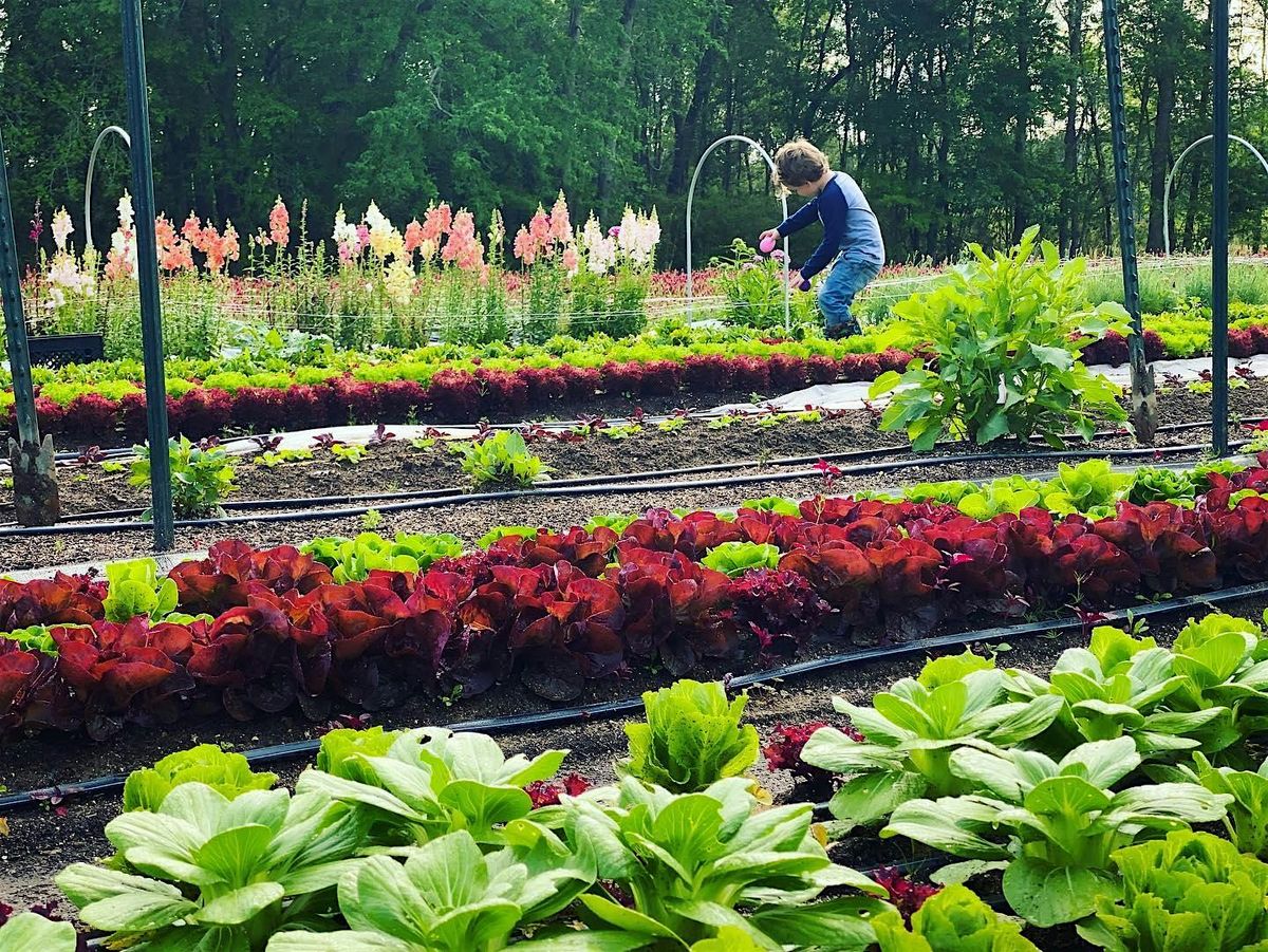 Farm Forward