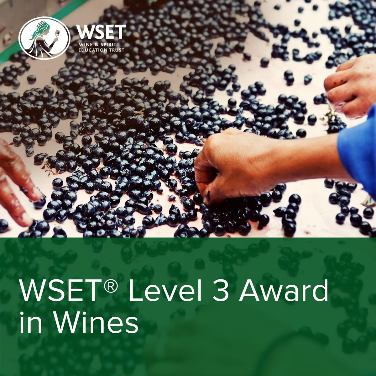WSET Level 3 Award in Wines (English) - 6 days-course
