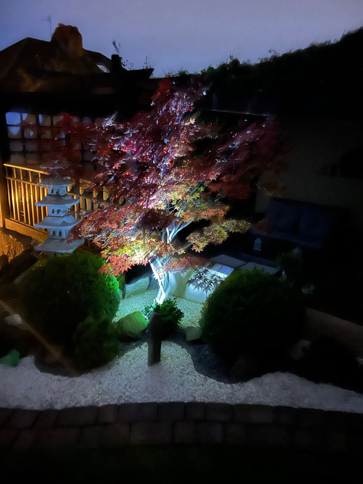 Autumn Night Walk