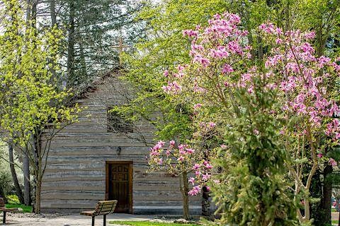 Log Chapel Mass & Social