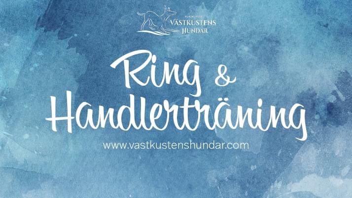 Ring & Handlertr\u00e4ning 