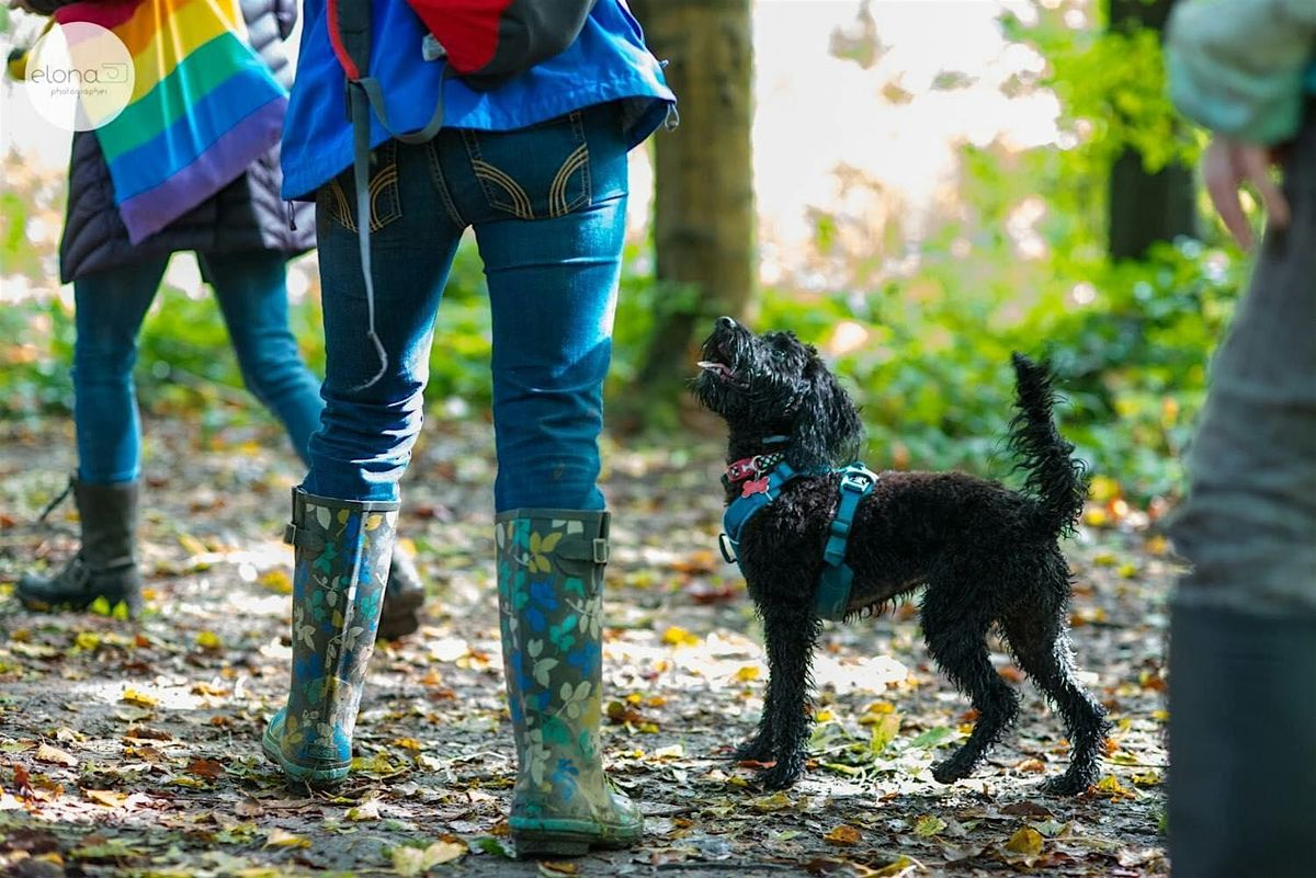 Rainbow Pooch in the Park (Warley Woods, Birmingham)