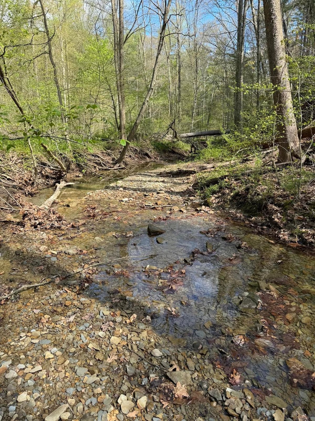 IGP March 2025 Outing Morgan-Monroe State Forest