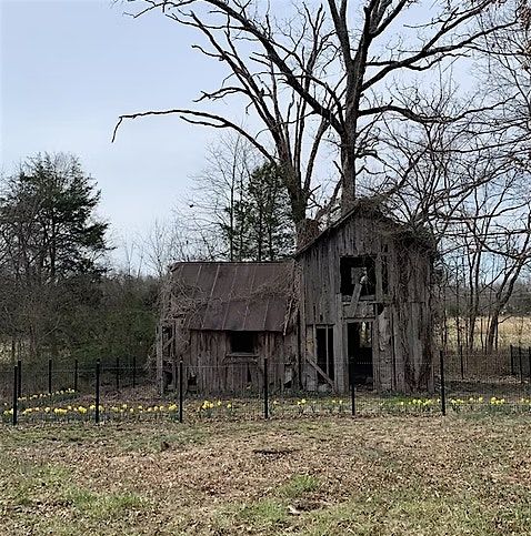 Naturalist Walk: Old Home Sites