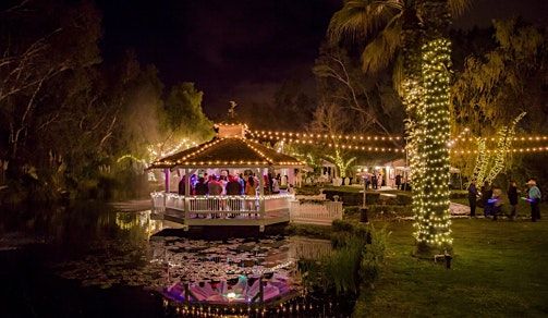 Fall Wedding Extravaganza 2025