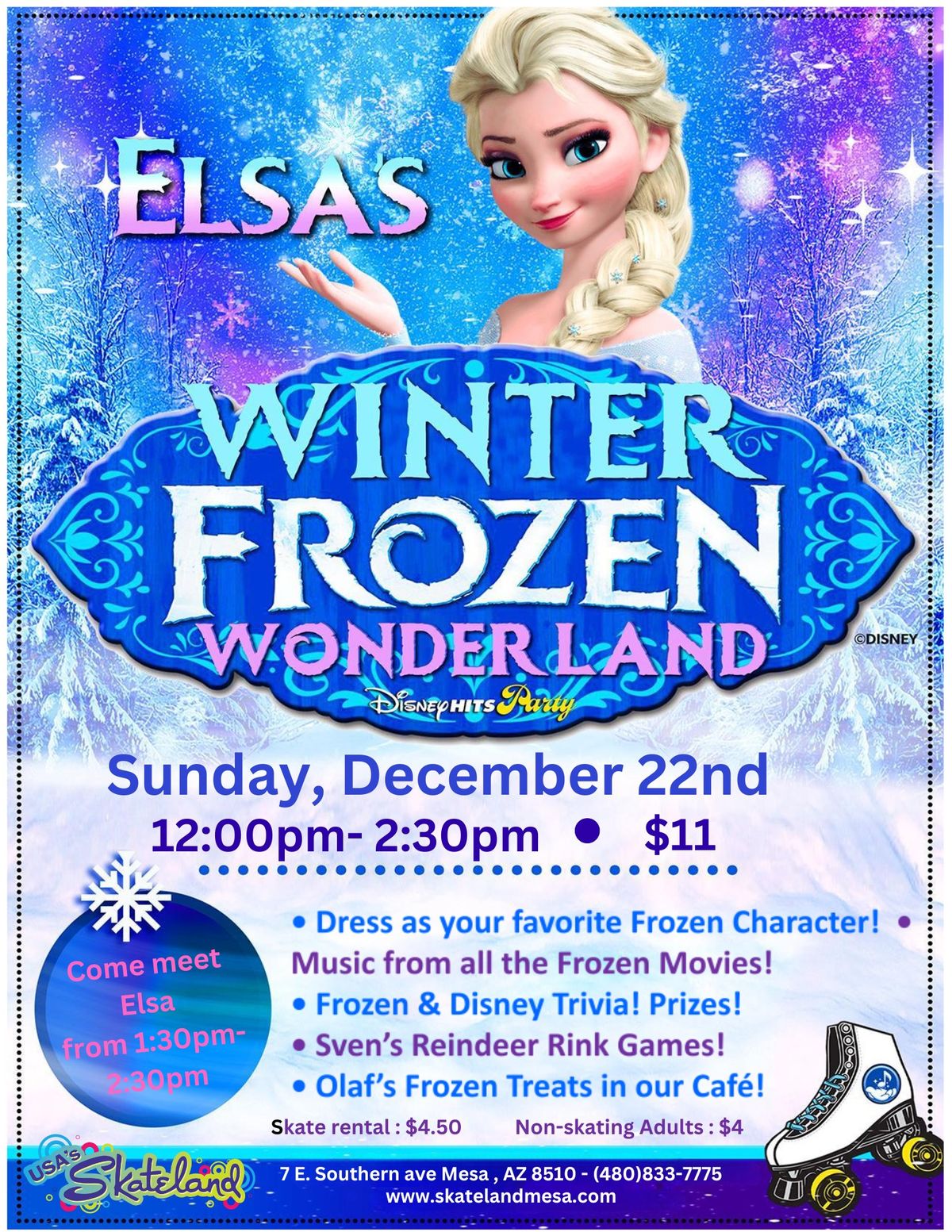 Elsa's Winter Frozen Wonderland 