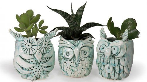 Owl Pots- 2 Sessions