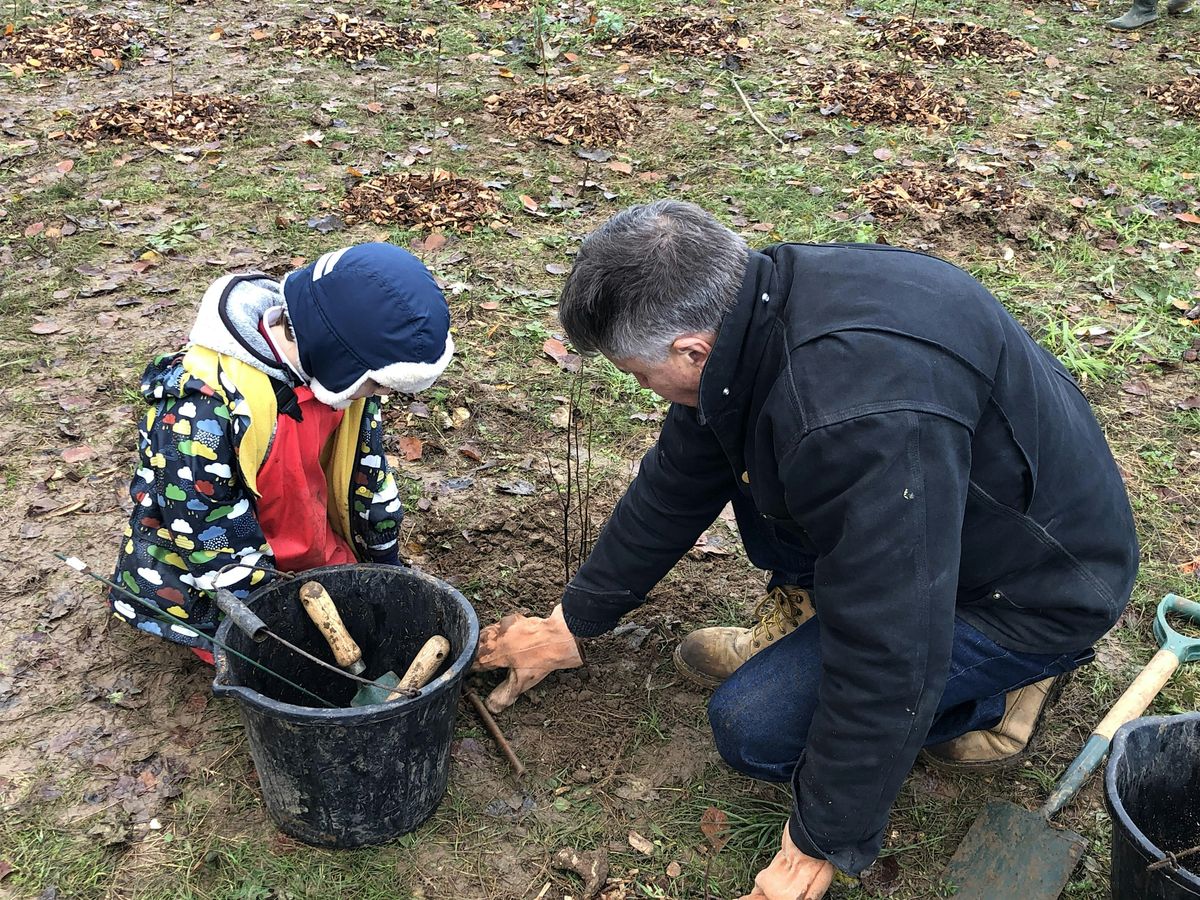 Annual Schools\u2019 Tree Planting \u2013 Final Year at Bury Hill Meadows