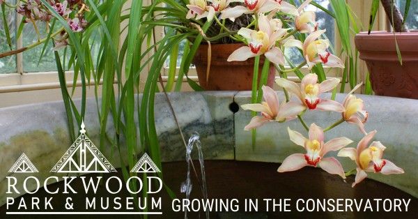 Growing in the Conservatory: The Botanical Collection Tour