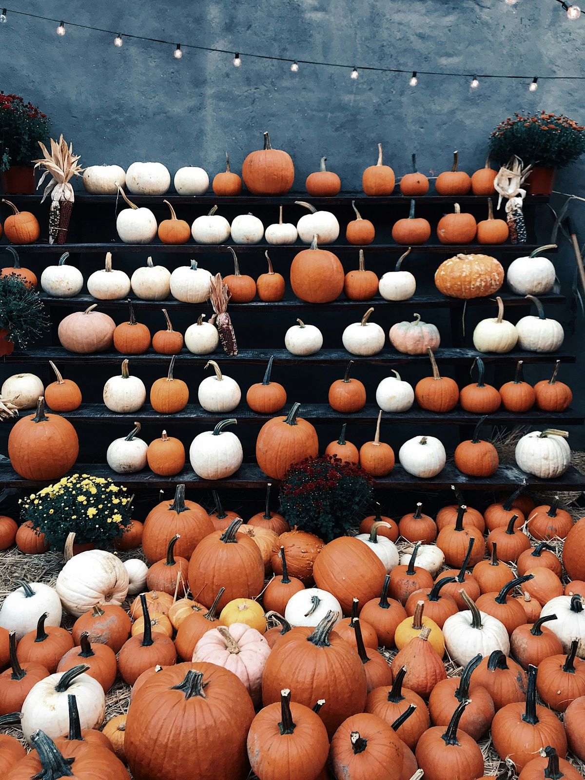 Edinburgh Children's Hospital Charity Halloween Stall