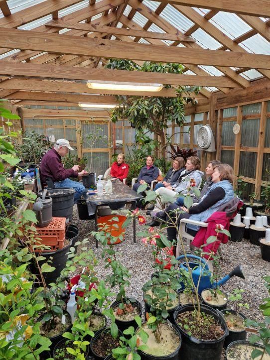 \ud83c\udf3a Camellia Grafting Class at Cornerstone Gardens \ud83c\udf3a