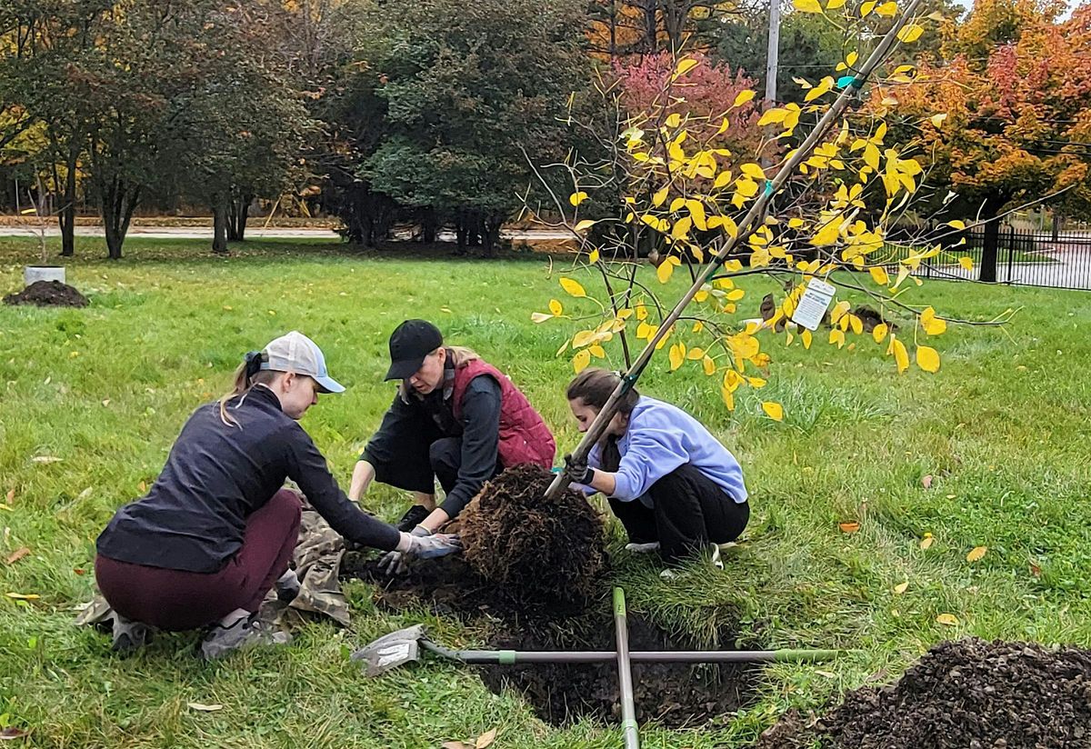 63rd St Beach Tree Planting