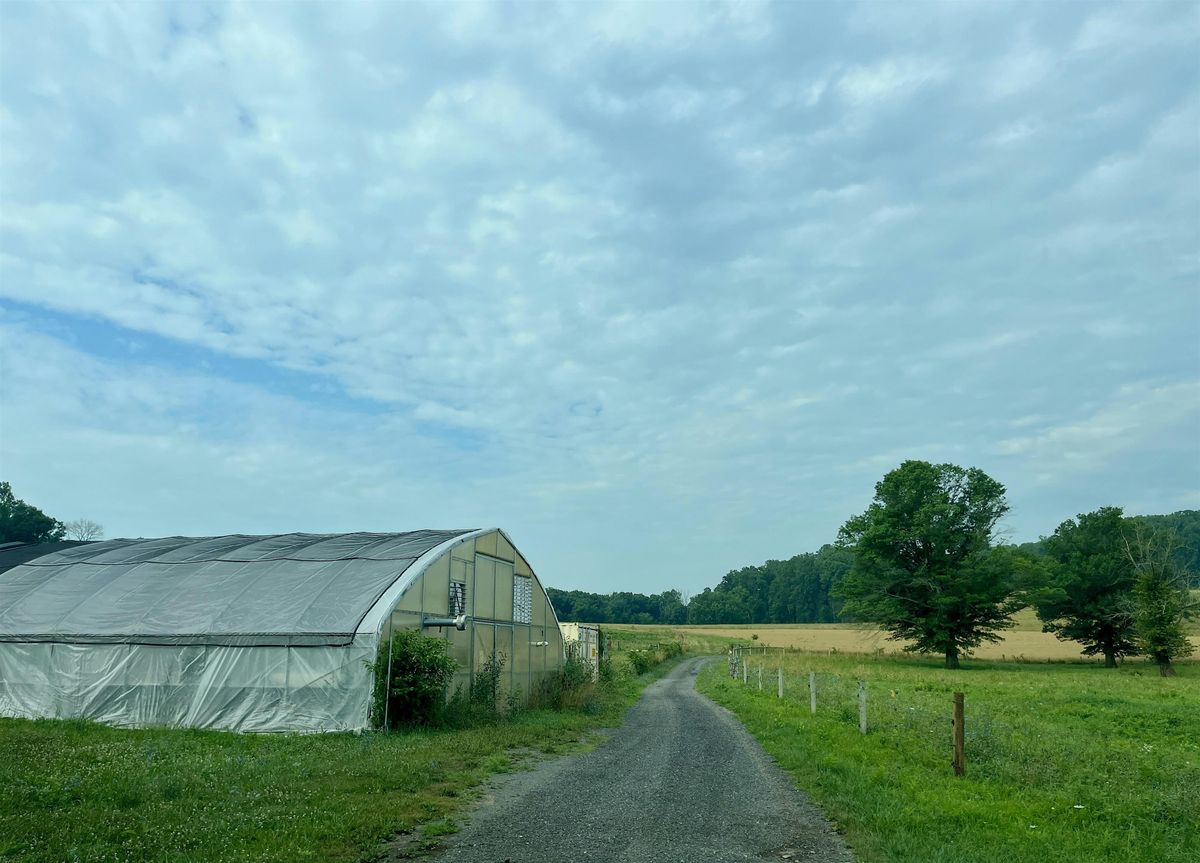 Volunteer Day at Lundale Farm