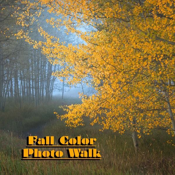 Fall Color Photo Walk: Photography Art Class