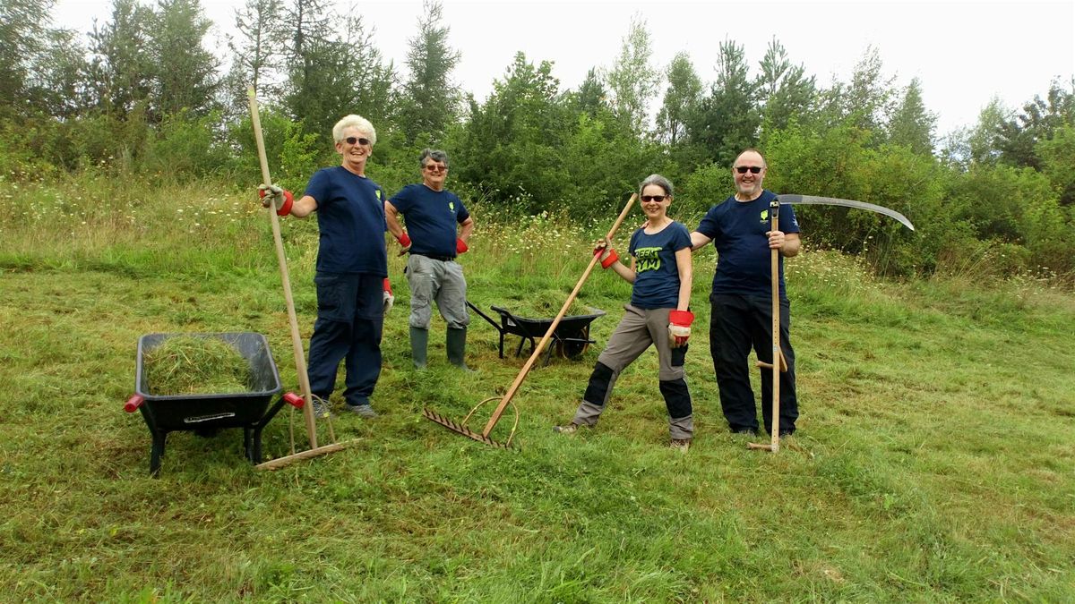 Orchard Scything Workshop