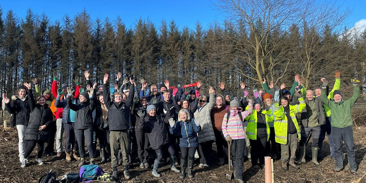 Railway Wood Community Planting Day